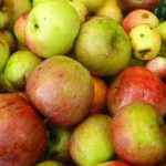 manzanas-de-sidra-casa-rural-en-llanes
