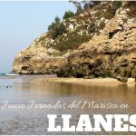 9-18 Junio 2017 Jornadas del marisco en Llanes