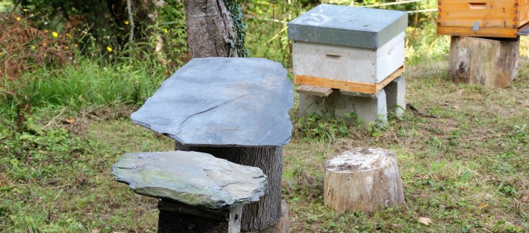 panales de abejas casa rural en llanes la boleta