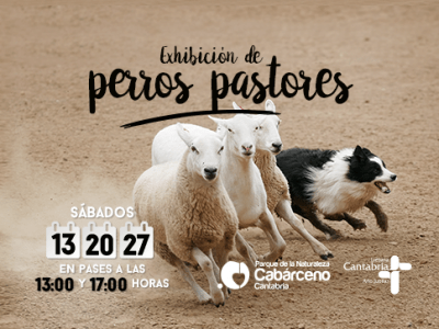 Muestra de Perros Pastores en Cabárceno. Cartel